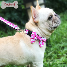 Fashion Chevron Bow Nylon Pet Dog Puppy Collar and Leash set
